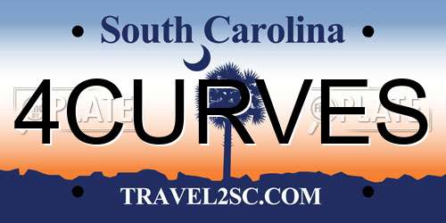 4CURVES South Carolina License Plate