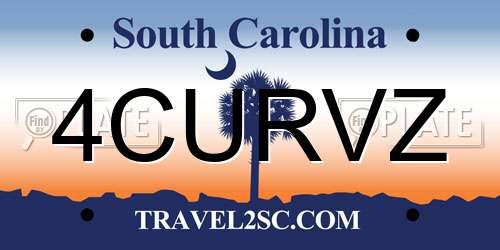 4CURVZ South Carolina License Plate