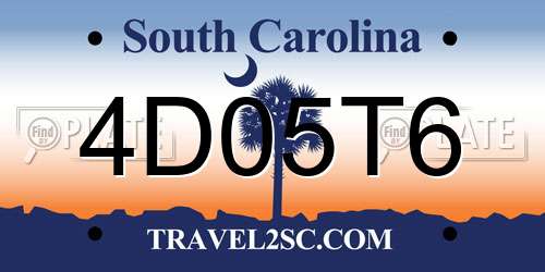 4D05T6 South Carolina License Plate