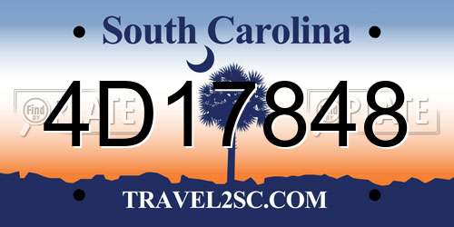 4D17848 South Carolina License Plate