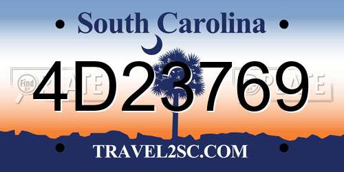 4D23769 South Carolina License Plate