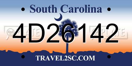 4D26142 South Carolina License Plate