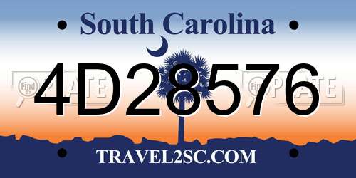 4D28576 South Carolina License Plate