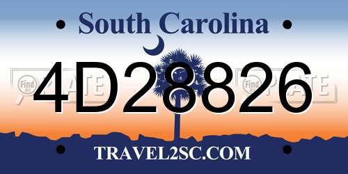 4D28826 South Carolina License Plate