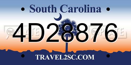 4D28876 South Carolina License Plate