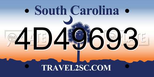 4D49693 South Carolina License Plate