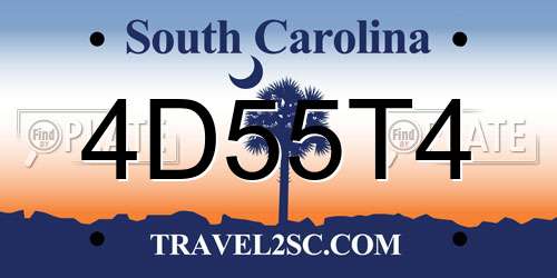 4D55T4 South Carolina License Plate