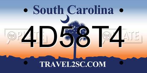 4D58T4 South Carolina License Plate