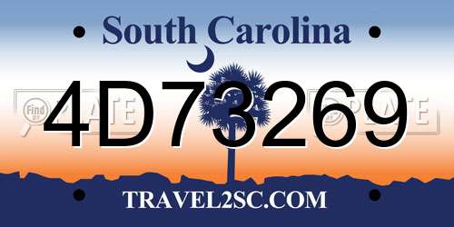 4D73269 South Carolina License Plate