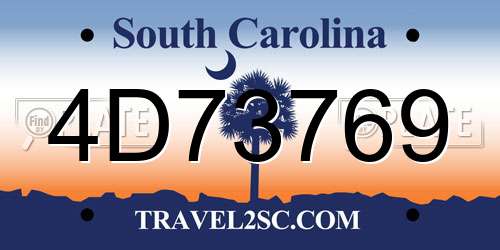 4D73769 South Carolina License Plate