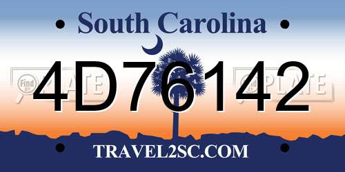 4D76142 South Carolina License Plate