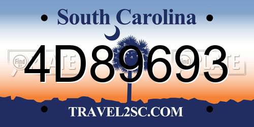 4D89693 South Carolina License Plate