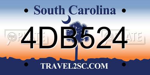 4DB524 South Carolina License Plate