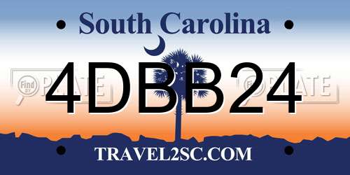 4DBB24 South Carolina License Plate