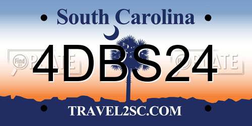 4DBS24 South Carolina License Plate
