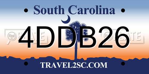 4DDB26 South Carolina License Plate