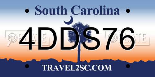 4DDS76 South Carolina License Plate
