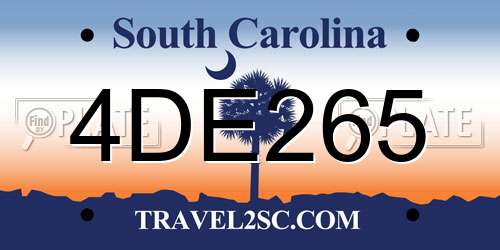 4DE265 South Carolina License Plate