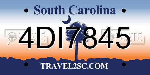 4DI7845 South Carolina License Plate
