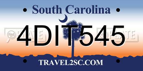 4DIT545 South Carolina License Plate
