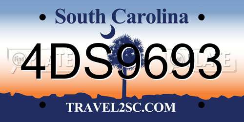 4DS9693 South Carolina License Plate