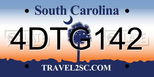 4DTG142 South Carolina License Plate