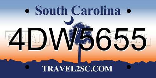 4DW5655 South Carolina License Plate