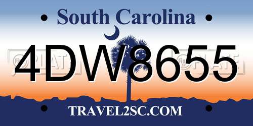 4DW8655 South Carolina License Plate