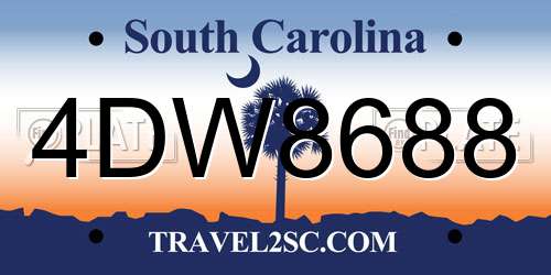 4DW8688 South Carolina License Plate