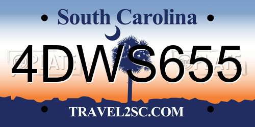 4DWS655 South Carolina License Plate