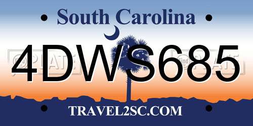 4DWS685 South Carolina License Plate