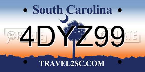 4DYZ99 South Carolina License Plate