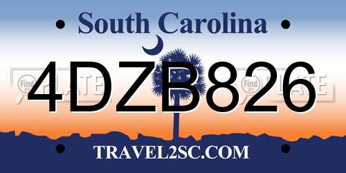 4DZB826 South Carolina License Plate