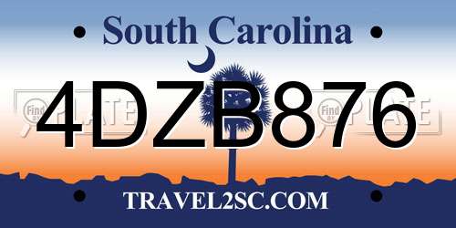 4DZB876 South Carolina License Plate