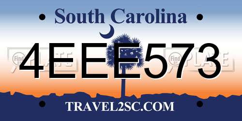 4EEE573 South Carolina License Plate