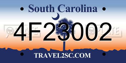 4F23002 South Carolina License Plate