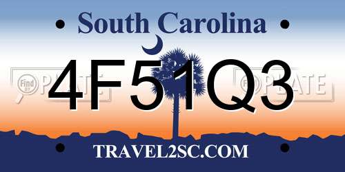 4F51Q3 South Carolina License Plate