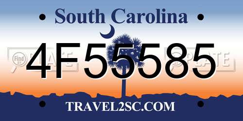 4F55585 South Carolina License Plate
