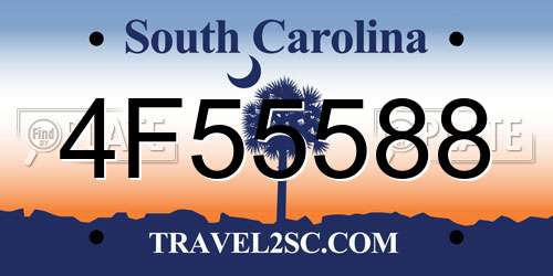 4F55588 South Carolina License Plate