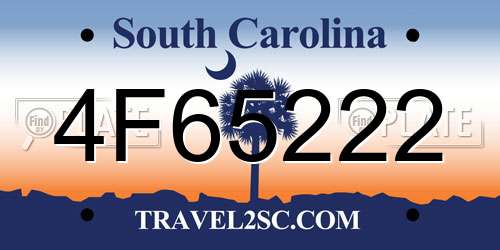 4F65222 South Carolina License Plate