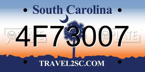 4F73007 South Carolina License Plate