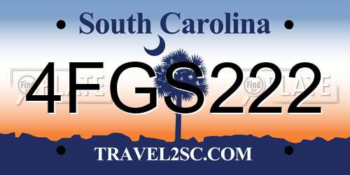 4FGS222 South Carolina License Plate
