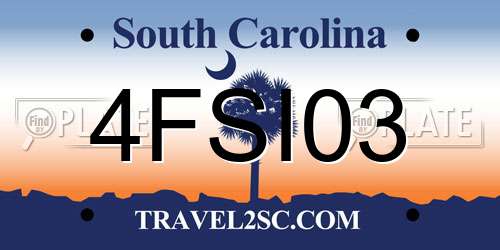 4FSI03 South Carolina License Plate