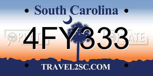 4FY333 South Carolina License Plate