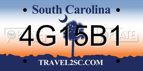4G15B1 South Carolina License Plate