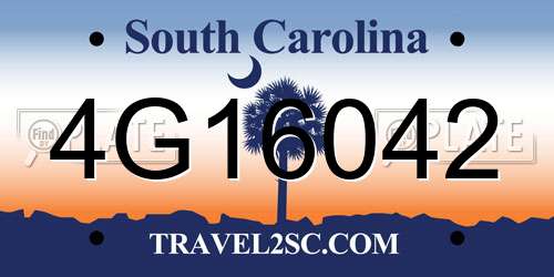 4G16042 South Carolina License Plate