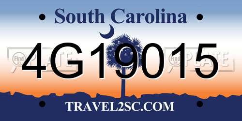 4G19015 South Carolina License Plate