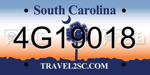4G19018 South Carolina License Plate