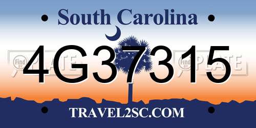 4G37315 South Carolina License Plate