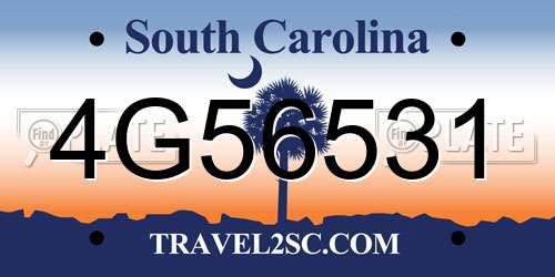 4G56531 South Carolina License Plate